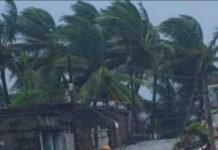 Cyclone: Train Updates Cyclone Train Updates