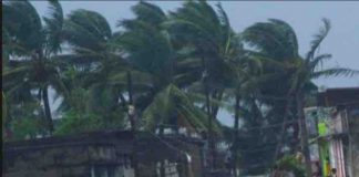 Cyclone: Train Updates Cyclone Train Updates