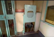 PETS in Trains : Procedure and Booking Details