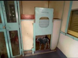 PETS in Trains : Procedure and Booking Details