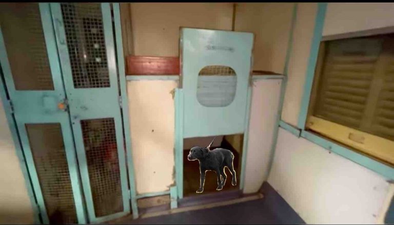 Can I Carry a Pet in the Train? Dog & Cat Rules (2026)