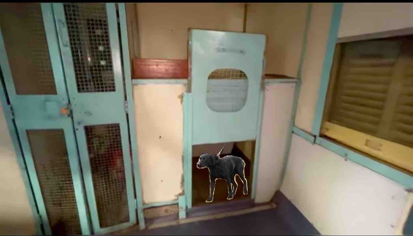 PETS in Trains : Procedure and Booking Details